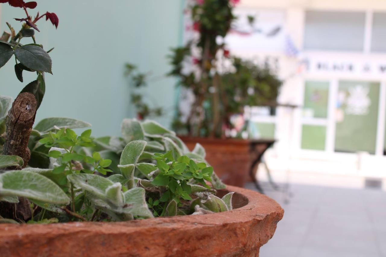 Katsikantaris Homes Paphos Ngoại thất bức ảnh